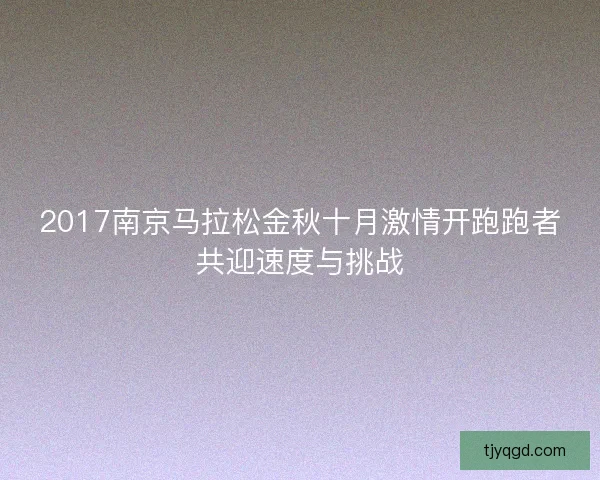 2017南京马拉松金秋十月激情开跑跑者共迎速度与挑战
