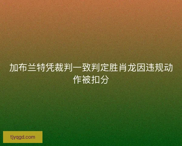 加布兰特凭裁判一致判定胜肖龙因违规动作被扣分