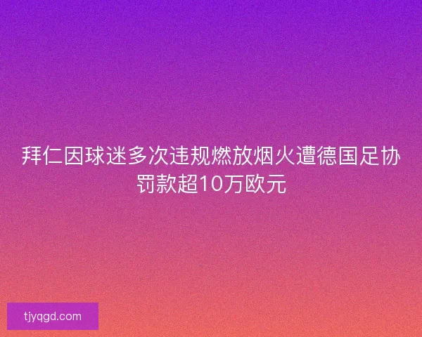 拜仁因球迷多次违规燃放烟火遭德国足协罚款超10万欧元