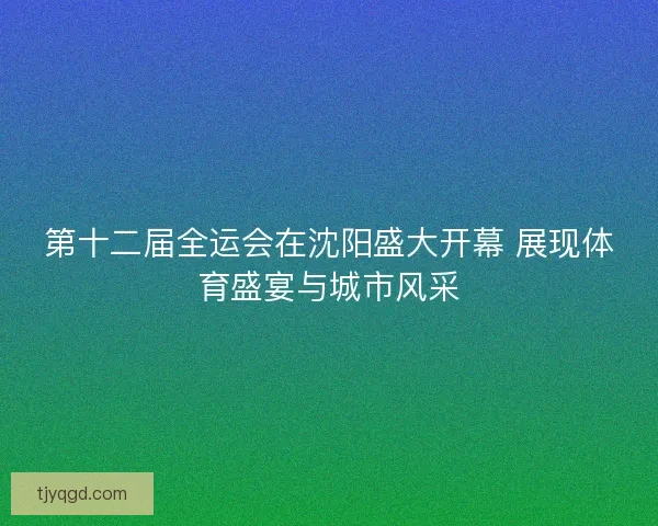 第十二届全运会在沈阳盛大开幕 展现体育盛宴与城市风采